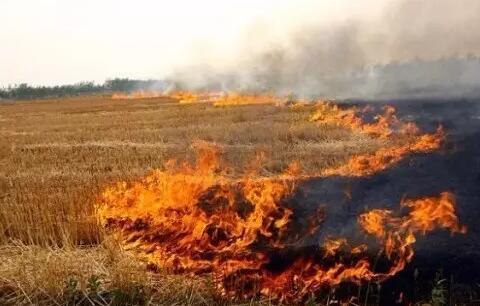 十年后霧霾會(huì)消失嗎？院士：十年內(nèi)難治好霧霾